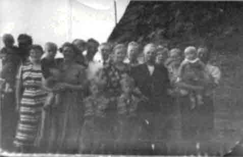 Familien Grnne